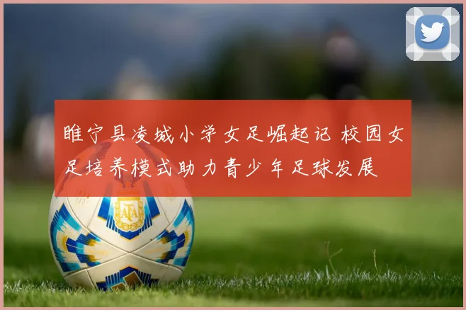 睢宁县凌城小学女足崛起记 校园女足培养模式助力青少年足球发展