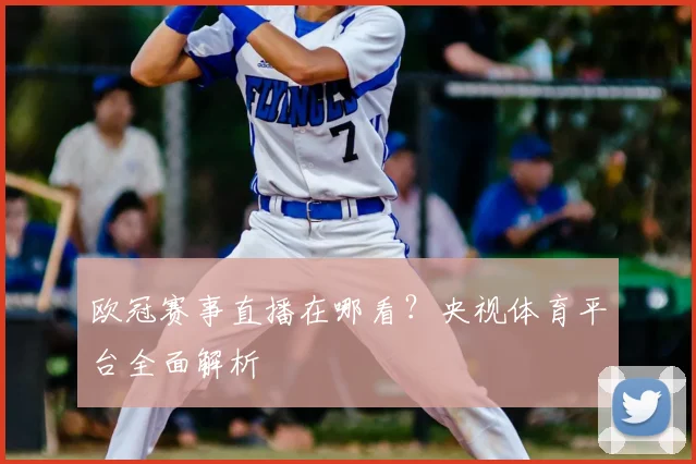 欧冠赛事直播在哪看？央视体育平台全面解析