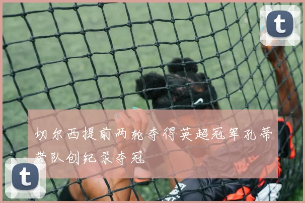 切尔西提前两轮夺得英超冠军孔蒂带队创纪录夺冠