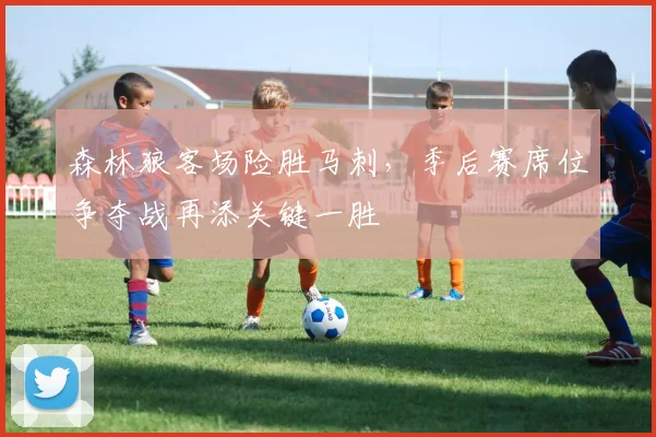 森林狼客场险胜马刺,季后赛席位争夺战再添关键一胜